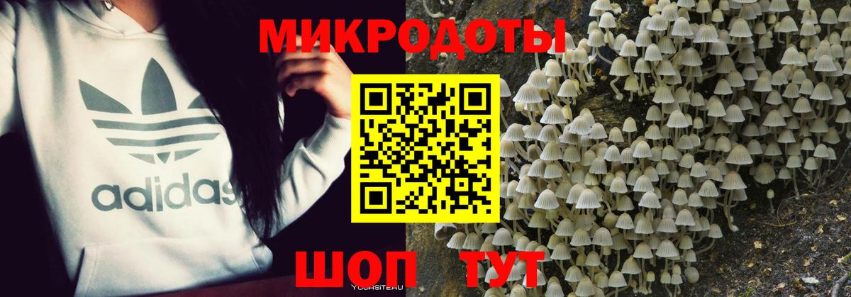 Галлюциногенные грибы Psilocybe Иркутск