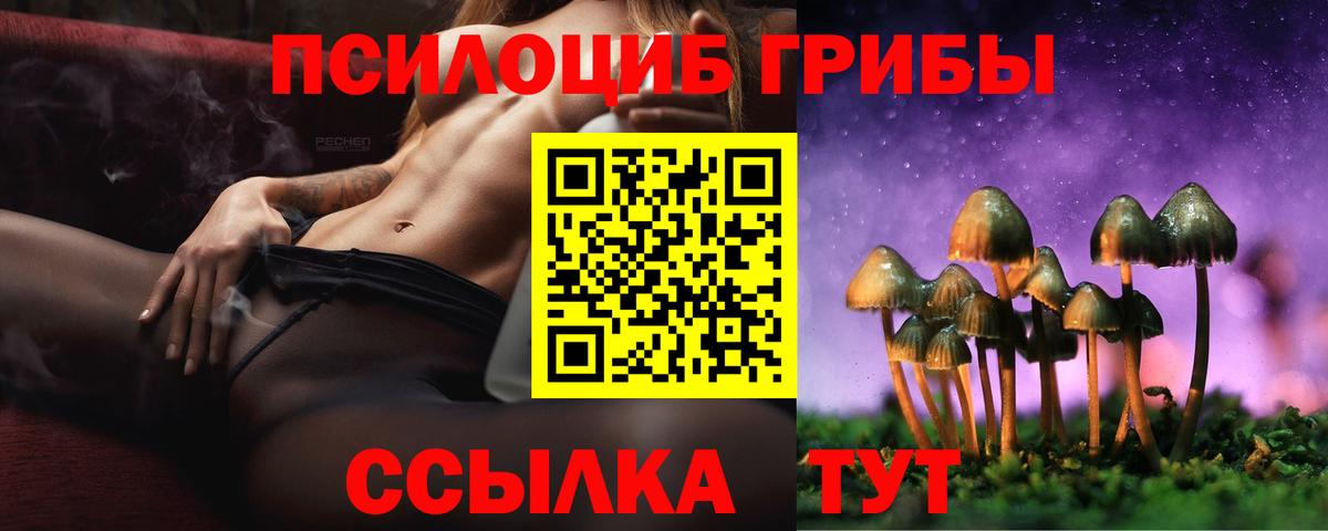 Псилоцибиновые грибы Cubensis  Вход с VPN  Иркутск  Галлюциногенные грибы мицелий 